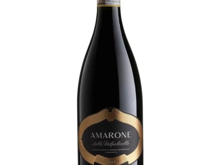 Cottini Amarone della Valpolicella, 75 cl Sale