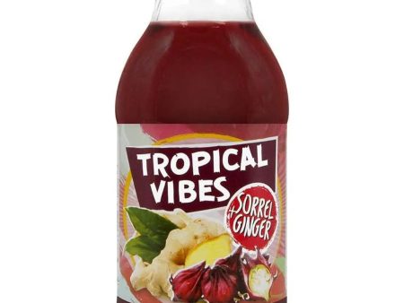 Tropical Vibes Sorrel & Ginger Drink Multipack, 15 x 300 ml Sale