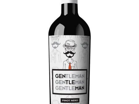 Ferro 13 The Gentleman 2017, 75 cl Fashion