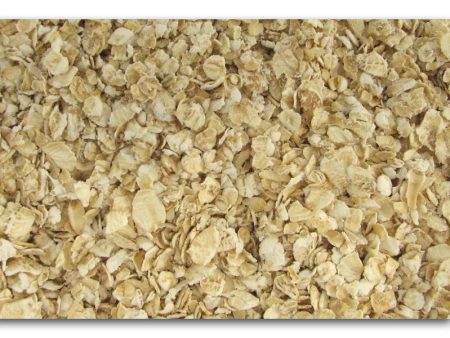 Bulk Quick Oats Organic - 50 lbs. Fashion