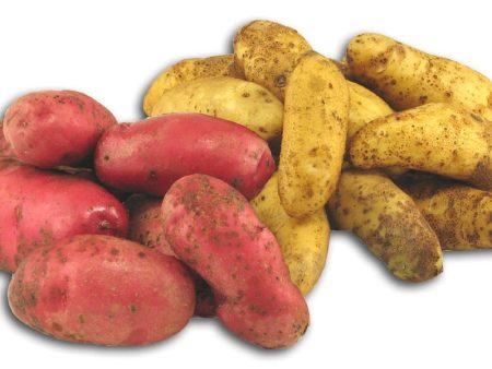 Fresh Produce Potato Fingerling - 5 lbs. Sale