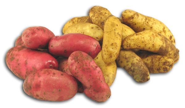 Fresh Produce Potato Fingerling - 5 lbs. Sale