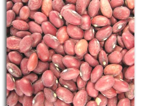 Bulk Red Beans (small) - 25 lbs. Fashion