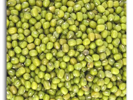 Bulk Mung Beans Organic - 25 lbs. Online Sale