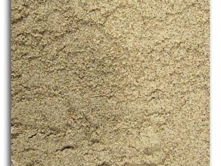 Bulk Buckwheat Flour Organic - 5 lbs. Online now