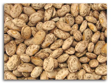 Bulk Pinto Beans - 25 lbs. For Sale