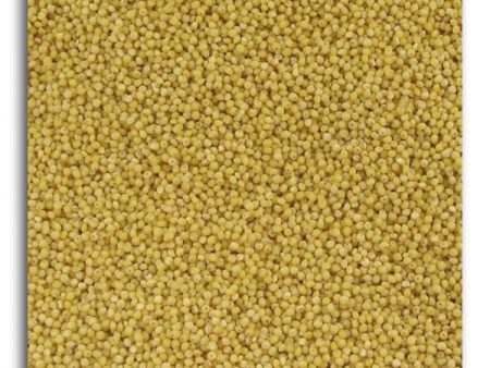 Montana Milling Millet Dehulled Organic - 25 lbs. on Sale