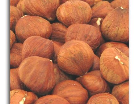 Bulk Hazelnuts Raw Organic - 5 lbs. For Sale