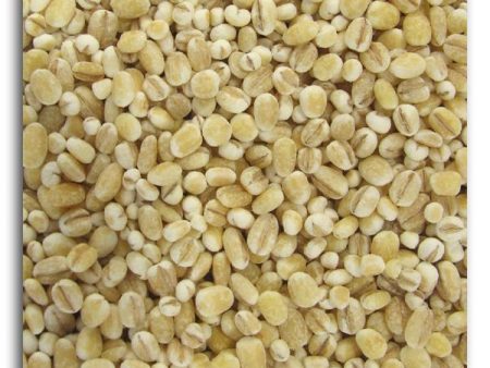 Bulk Barley Pearl - 5 lbs. Supply