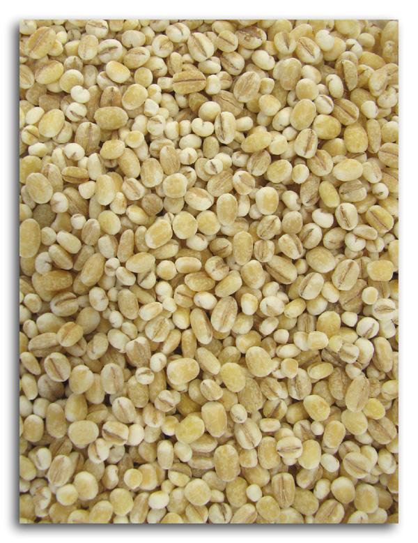 Bulk Barley Pearl - 5 lbs. Supply