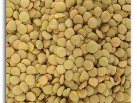 Bulk Lentils - 5 lbs. Online now