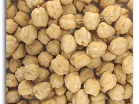 Bulk Garbanzo Beans (chick peas) - 25 lbs. For Cheap