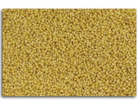 Montana Milling Millet Dehulled - 5 lbs. Sale