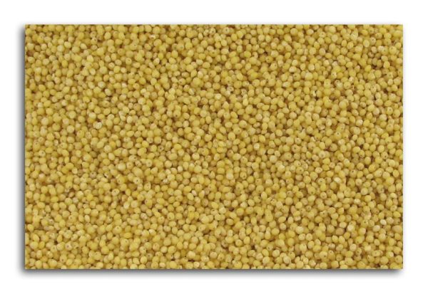 Montana Milling Millet Dehulled - 5 lbs. Sale