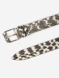 Ivory and black watersnake belt Online Hot Sale