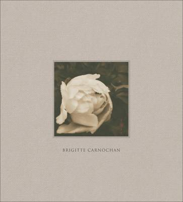 Brigitte Carnochan: Floating World [2013] hardback Online Hot Sale